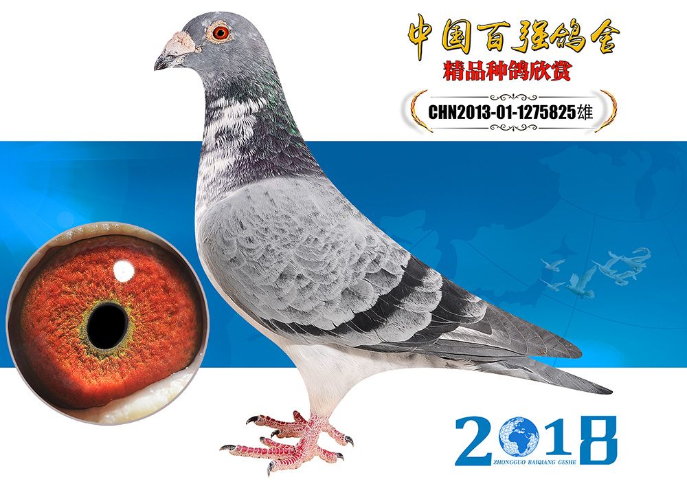 >> 查看拍卖商品