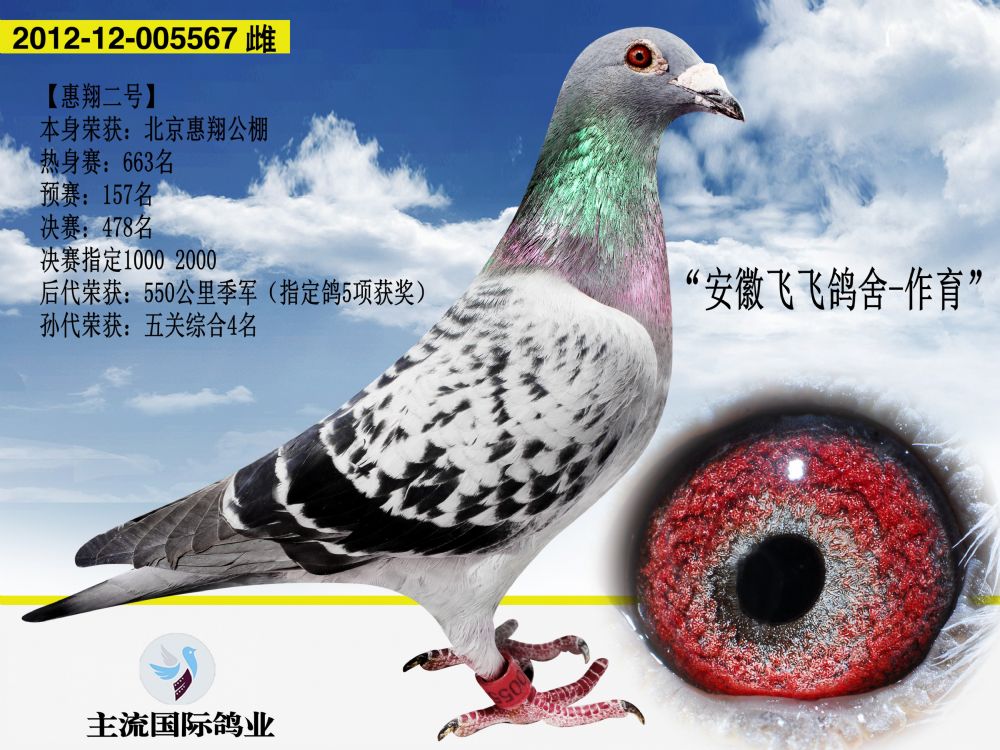 >> 查看拍卖商品