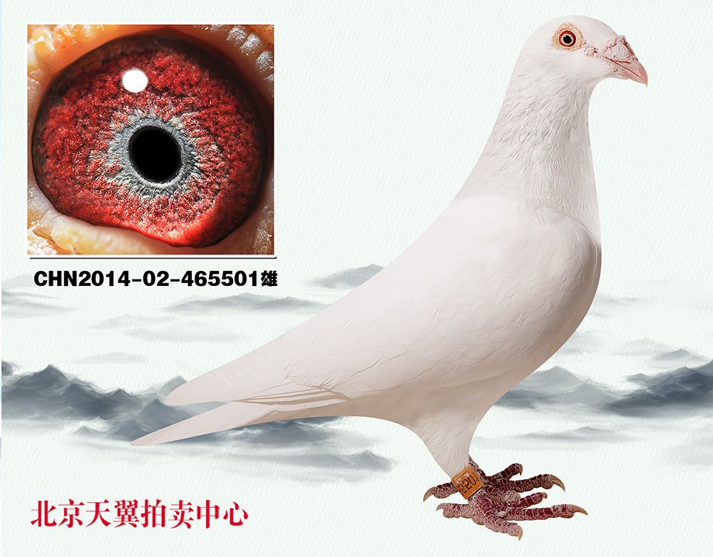 >> 查看拍卖商品