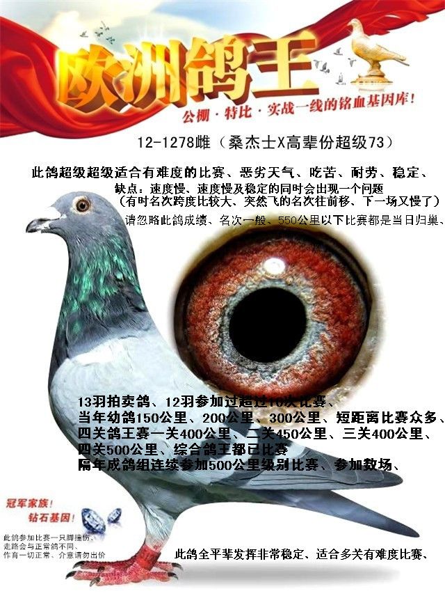 >> 查看拍卖商品