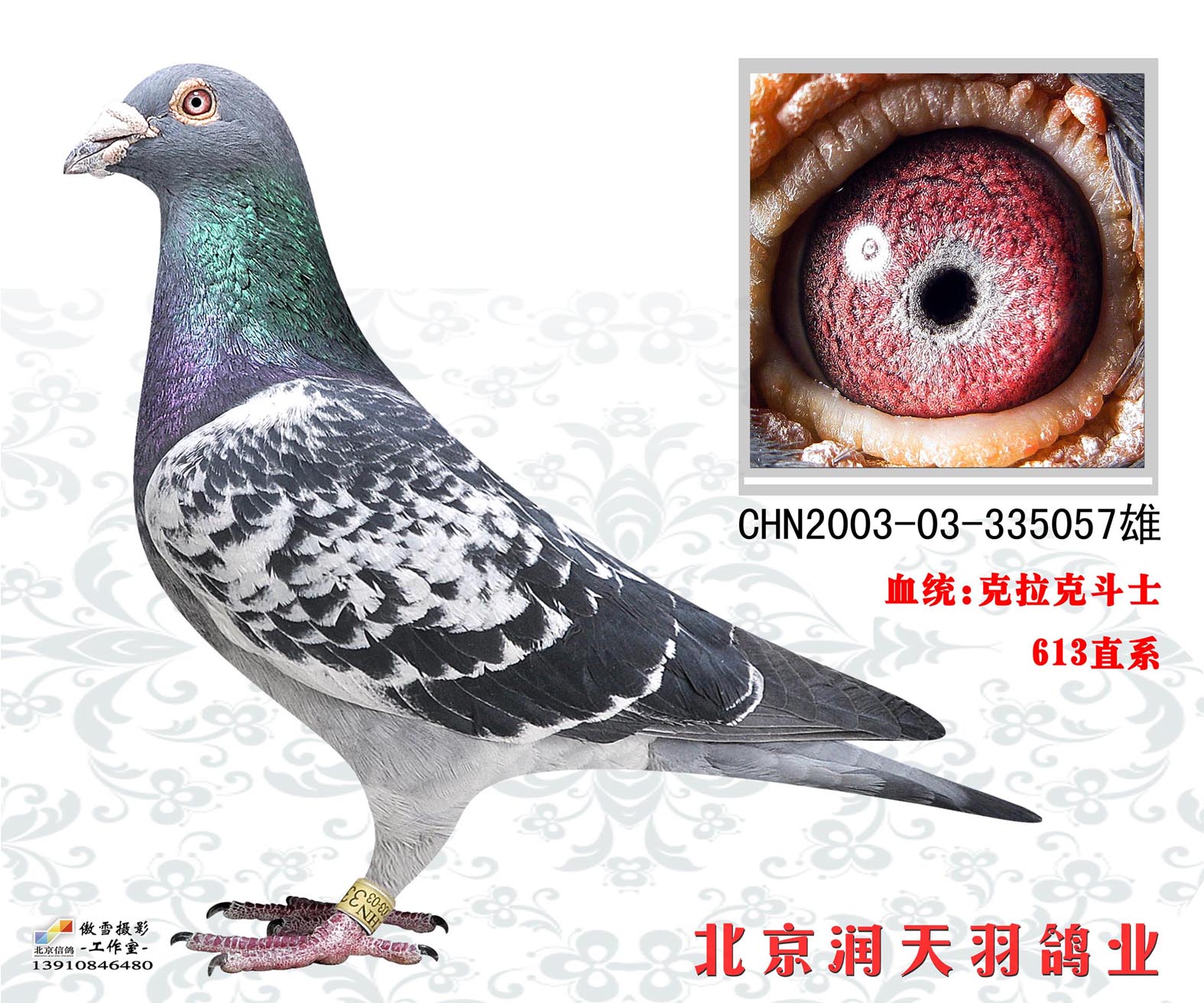 >> 查看拍卖商品