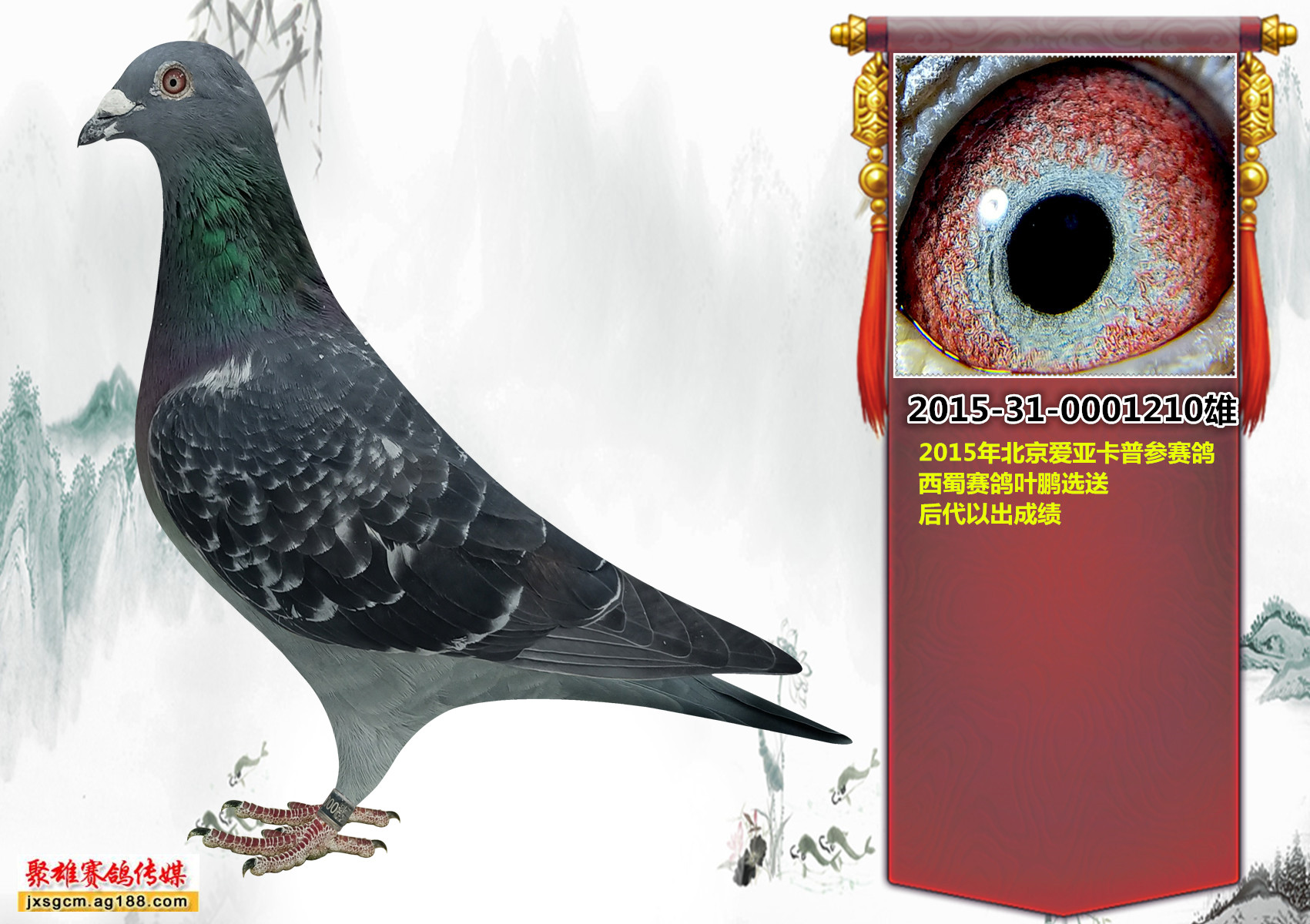 >> 查看拍卖商品