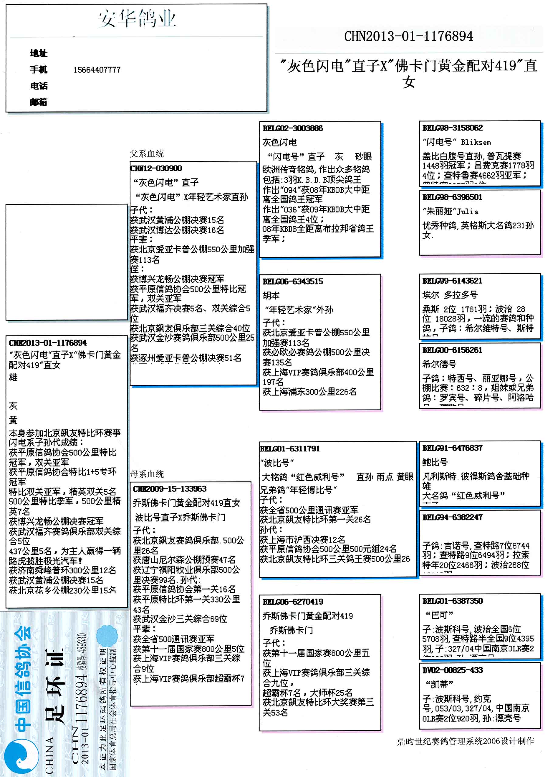 安华鸽业种鸽展厅图片