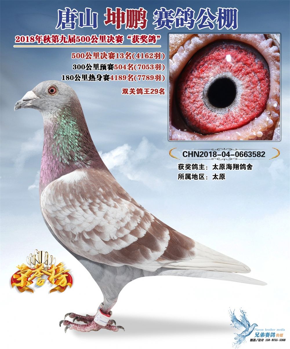 当前:  唐山坤鹏决赛13名