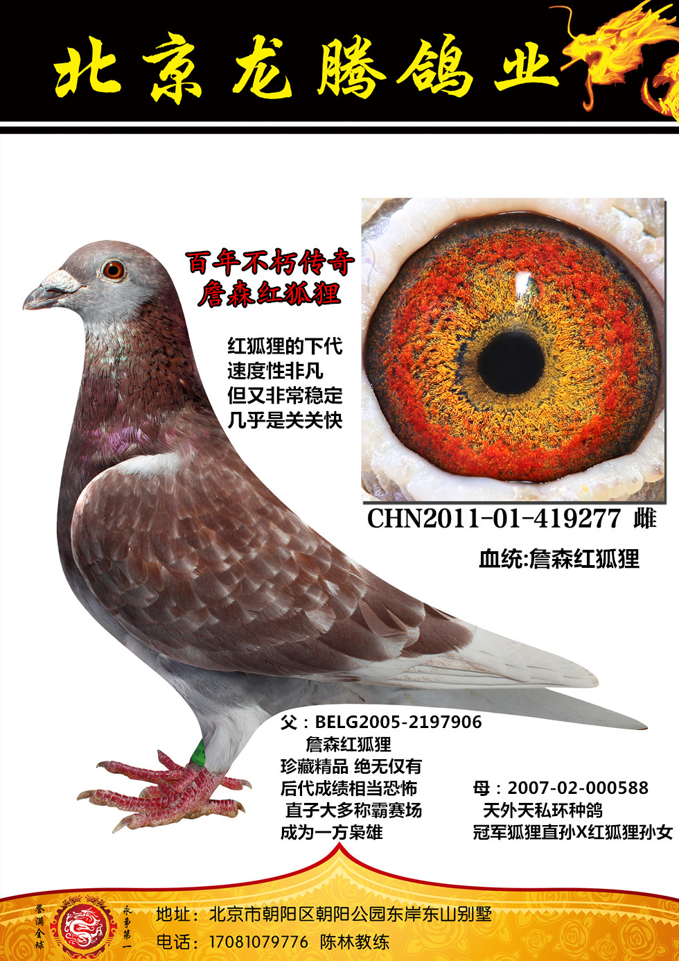 >> 查看拍卖商品