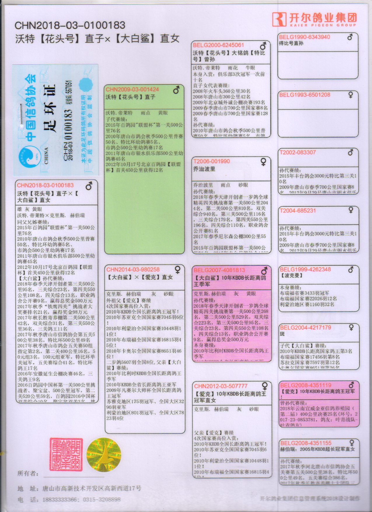 唐山开尔鸽业 - 中信网铭鸽展厅 www.ag188.com