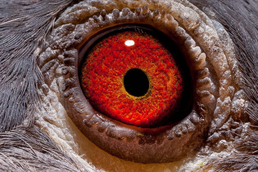 >> 查看拍卖商品