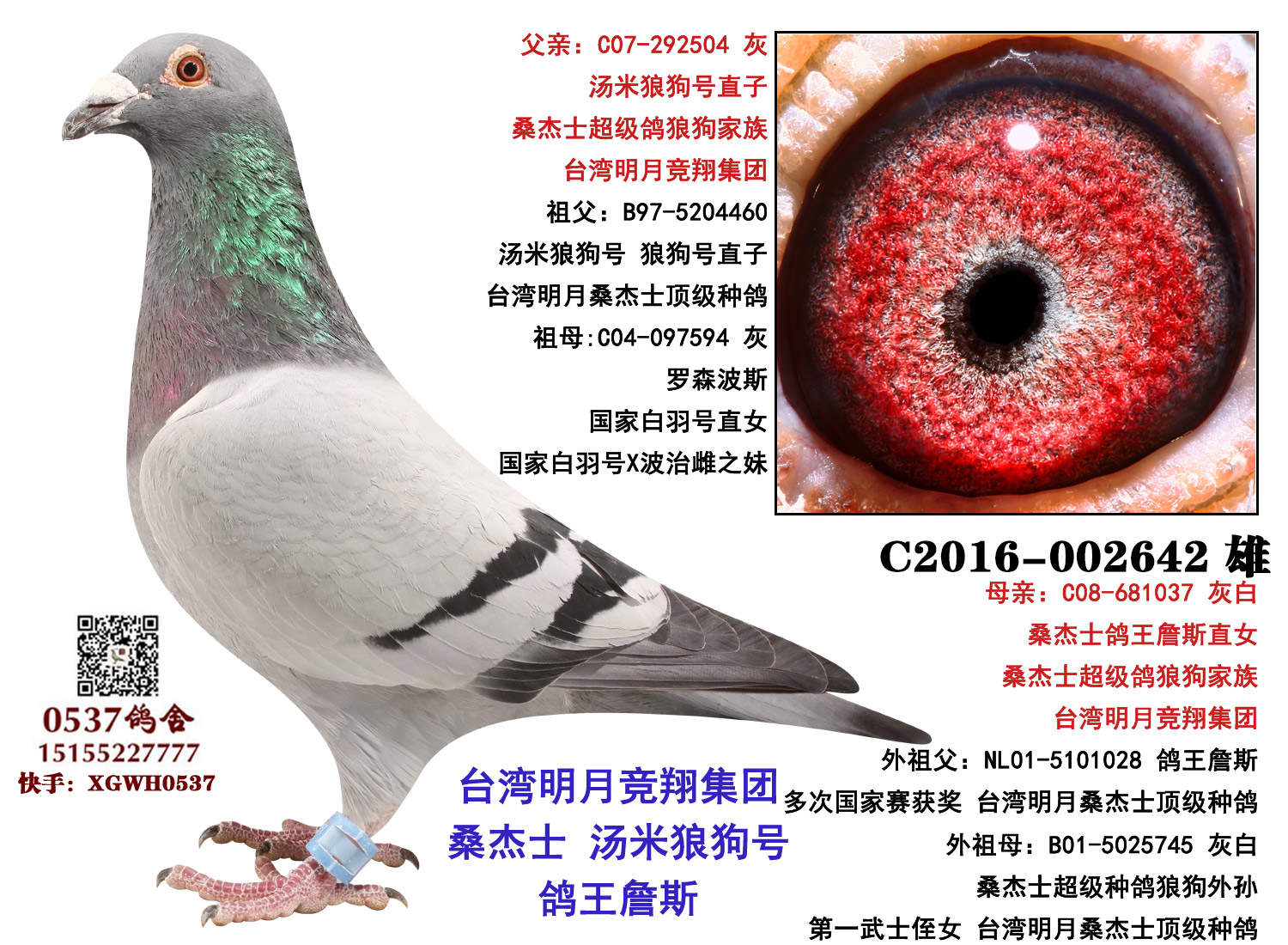 >> 查看拍卖商品