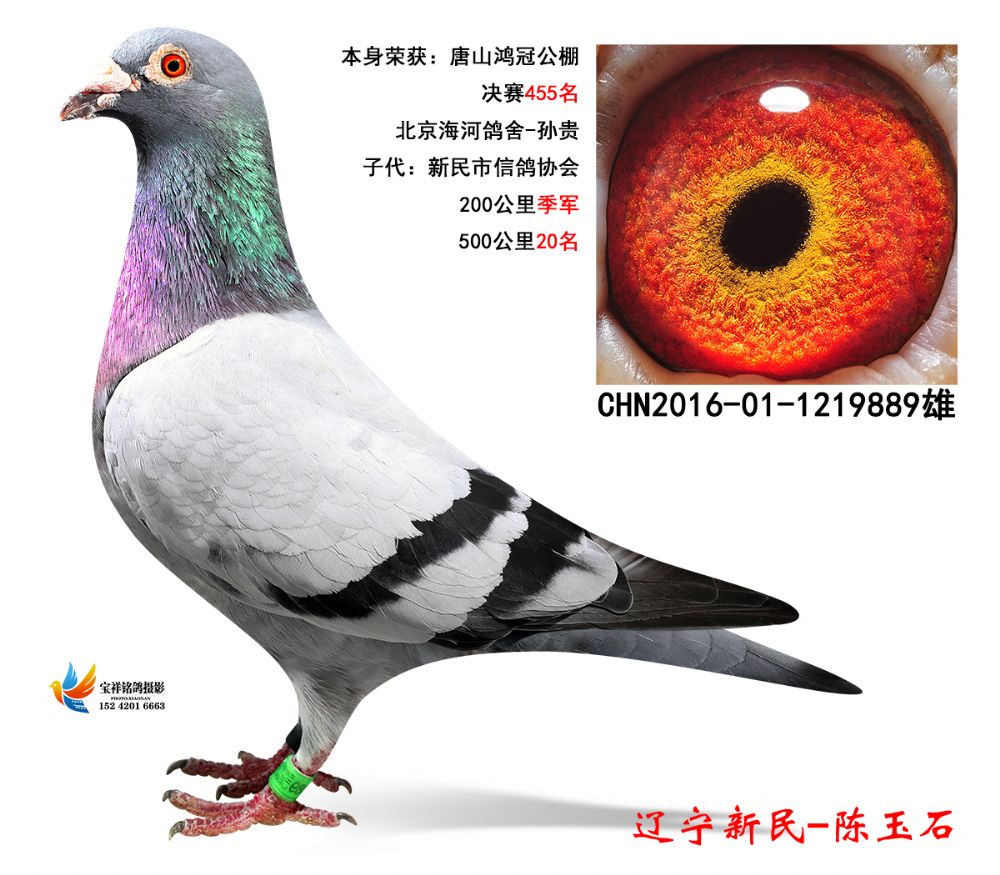 >> 查看拍卖商品
