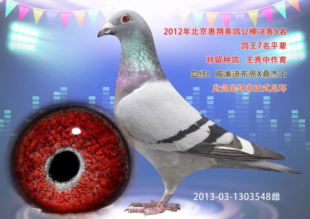 >> 查看拍卖商品