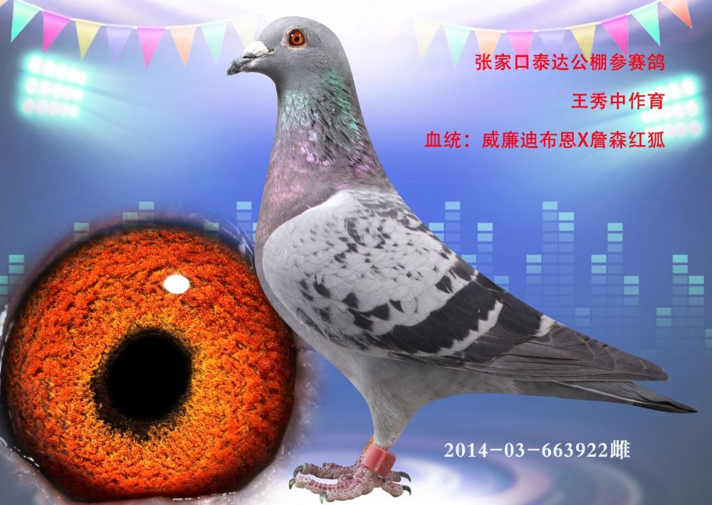 >> 查看拍卖商品