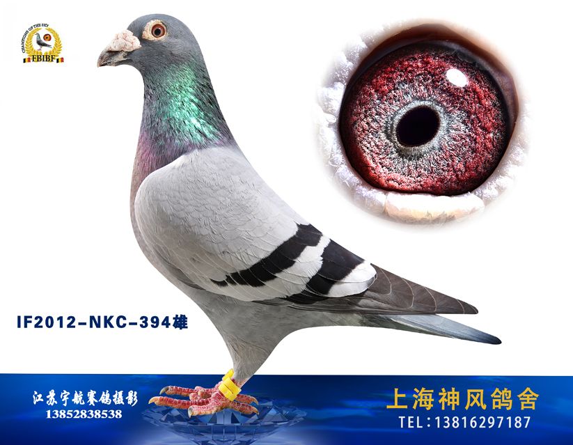 点击查看此商品大图片