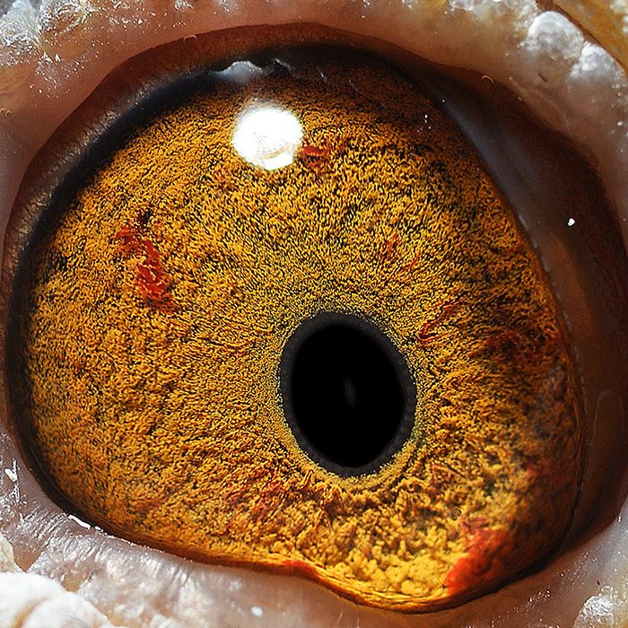 >> 查看拍卖商品