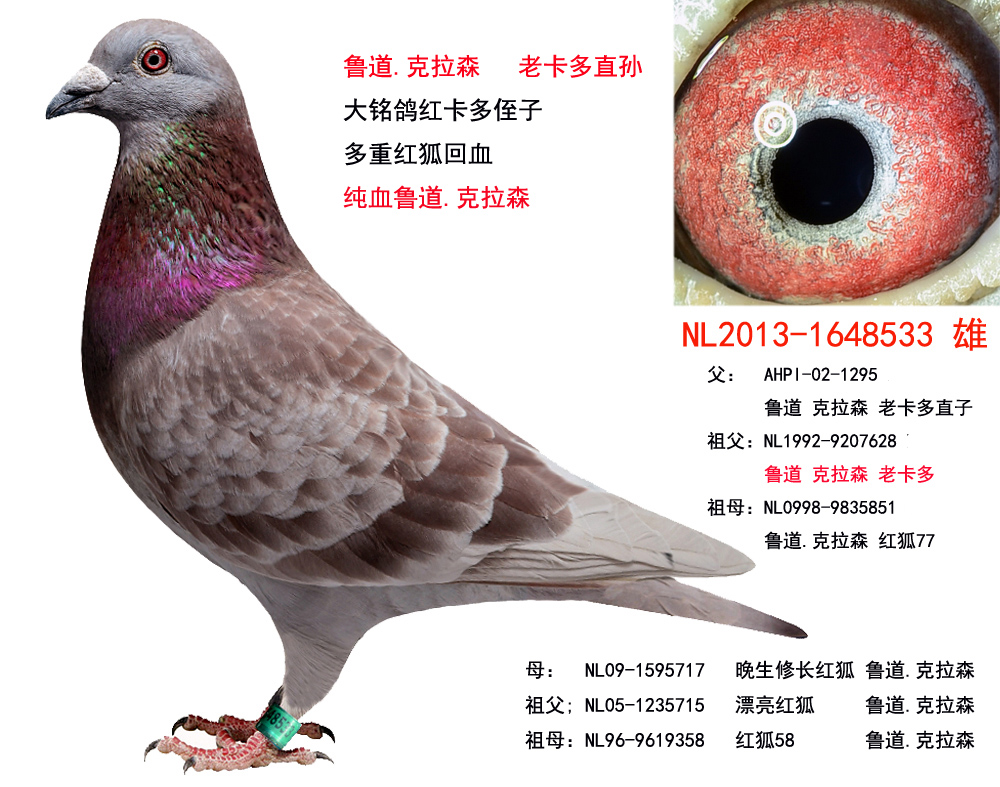 >> 查看拍卖商品