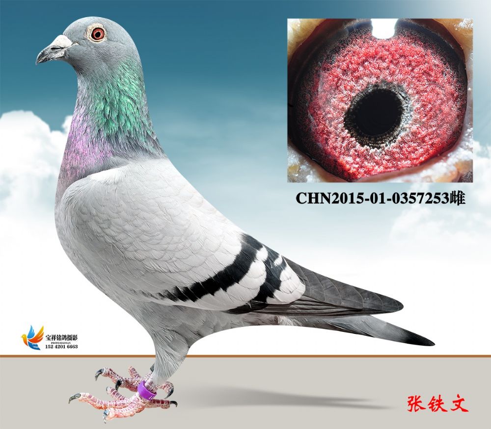>> 查看拍卖商品