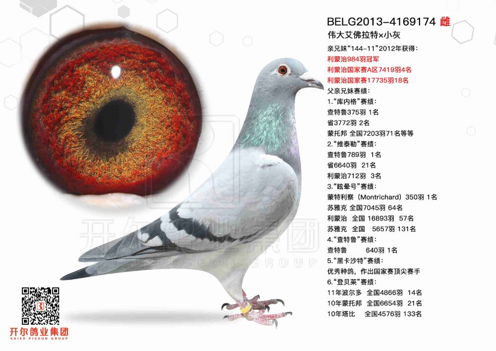 92号belg2013-4169174