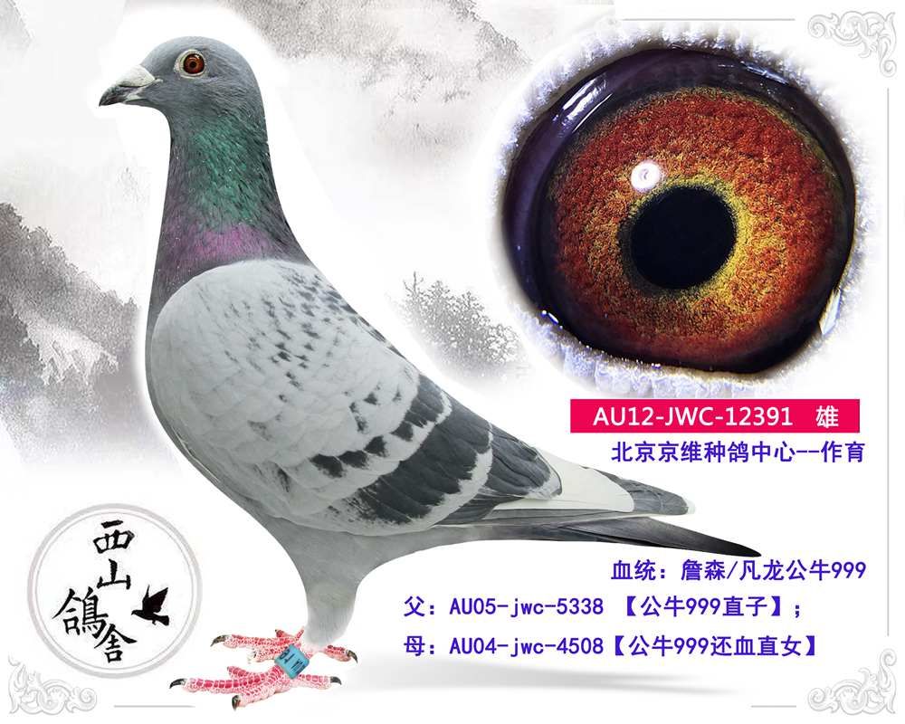 >> 查看拍賣商品