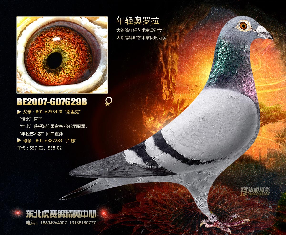>> 查看拍卖商品