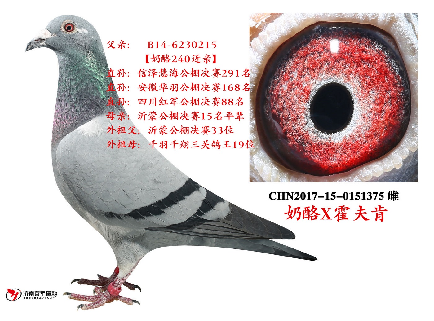 >> 查看拍卖商品