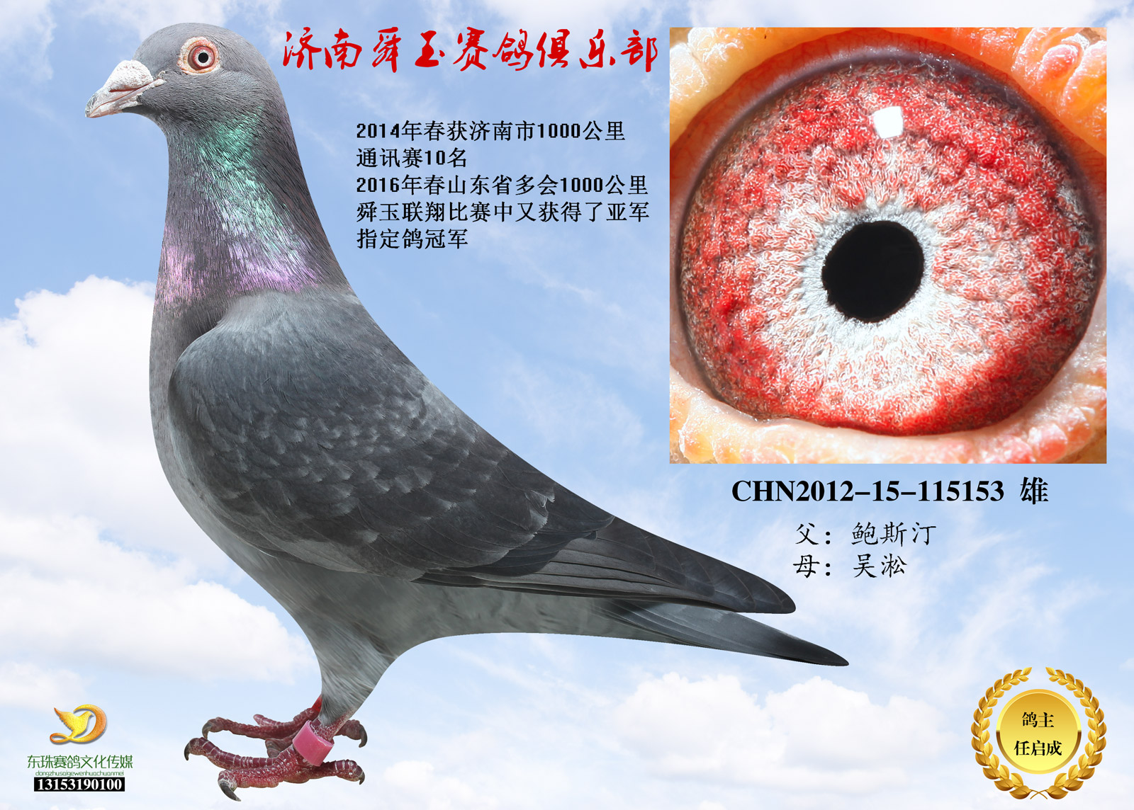 牡丹江壹号鸽舍 - 中信网铭鸽展厅 www.ag188.com