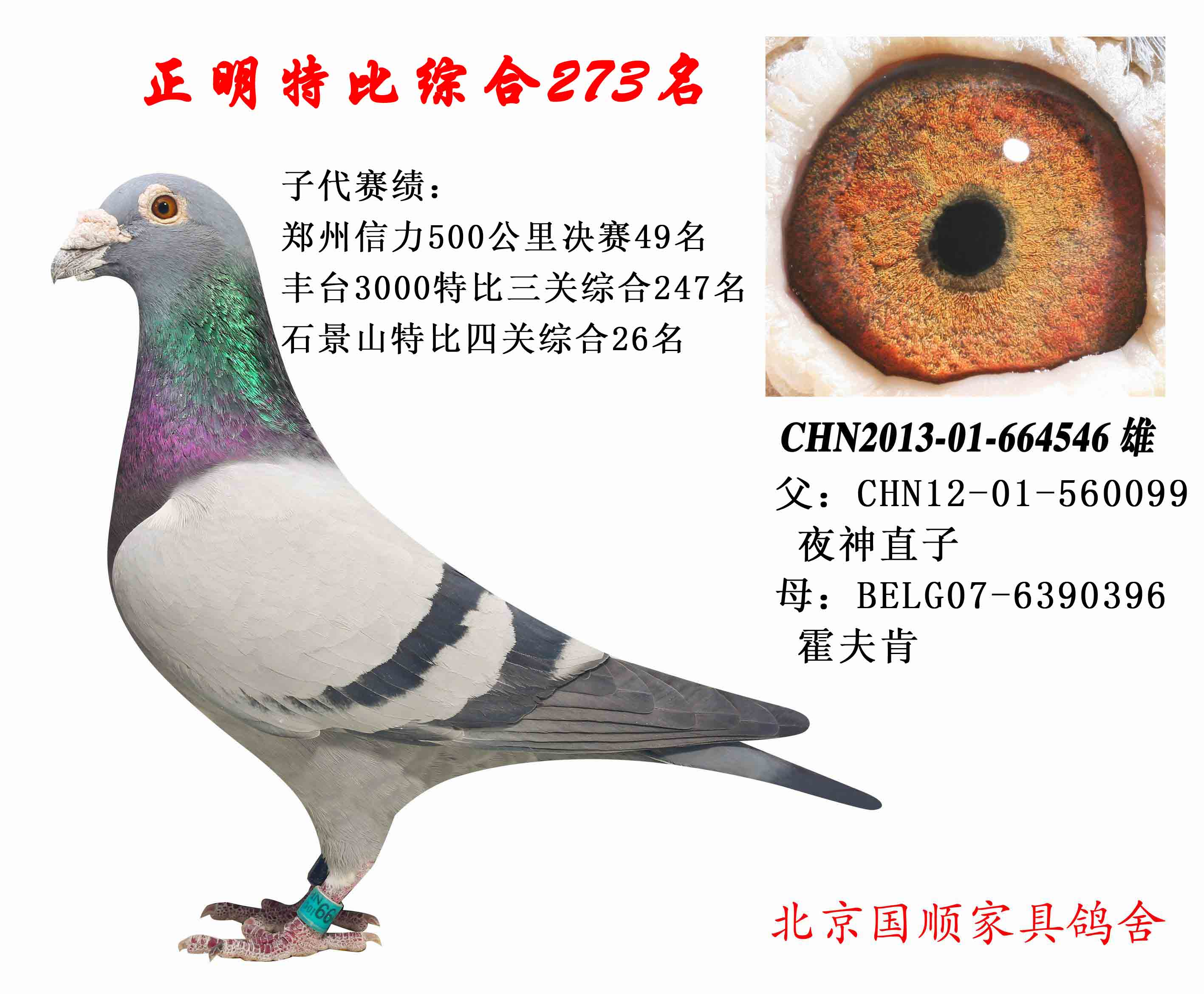 >> 查看拍卖商品
