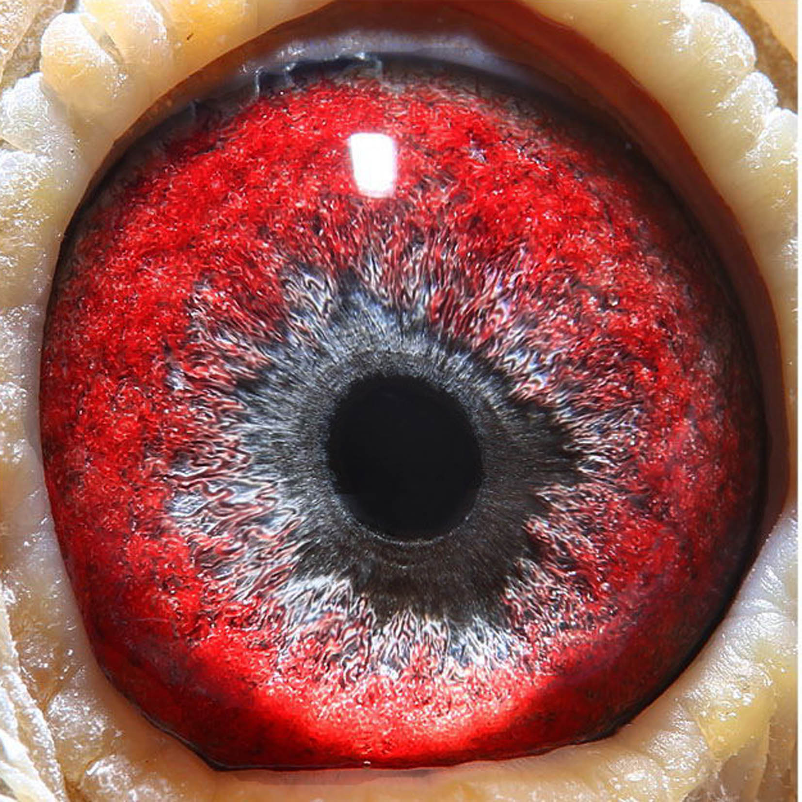 >> 查看拍卖商品