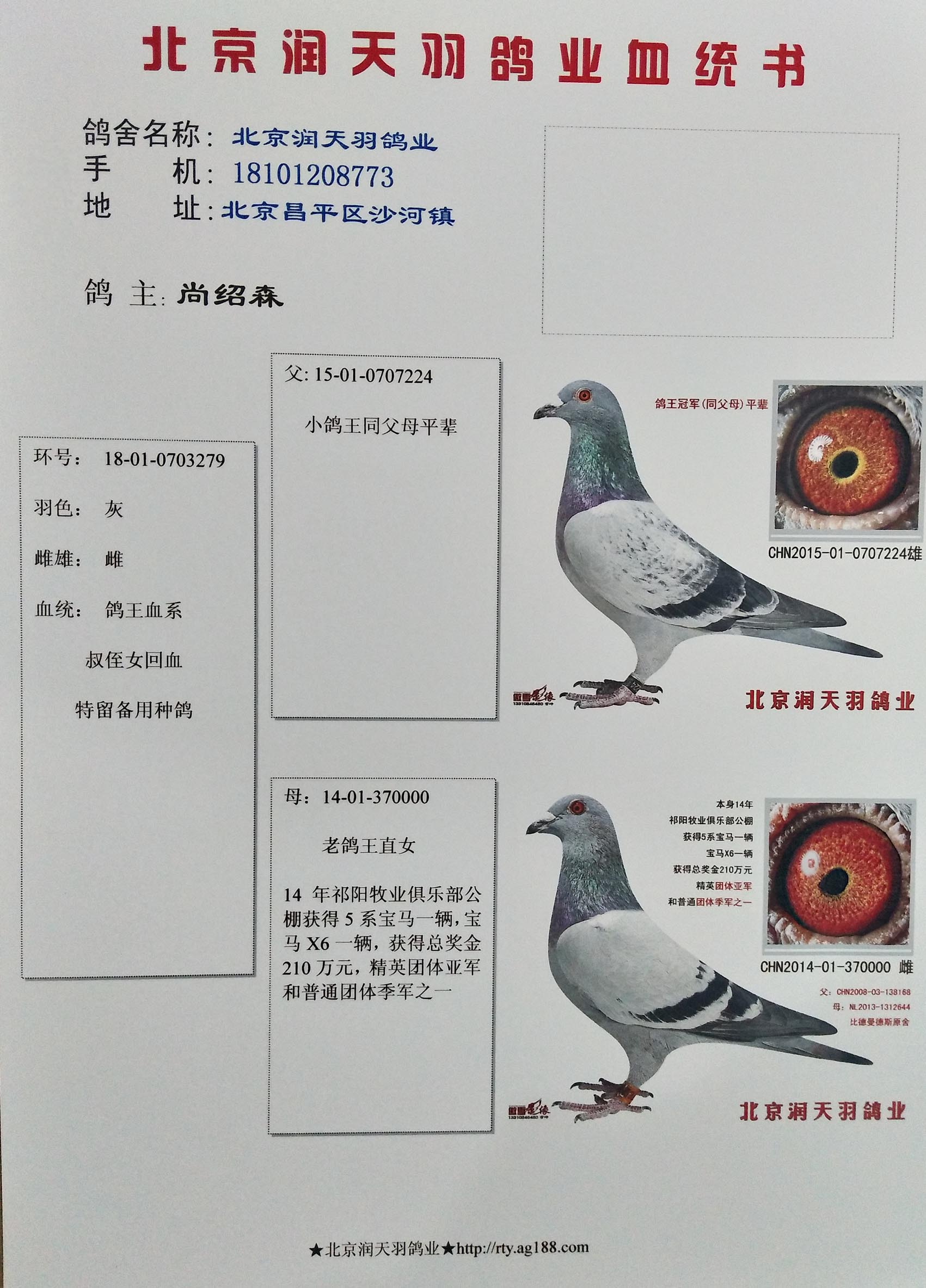 润天羽尚绍森 - 中信网铭鸽展厅 www.ag188.com