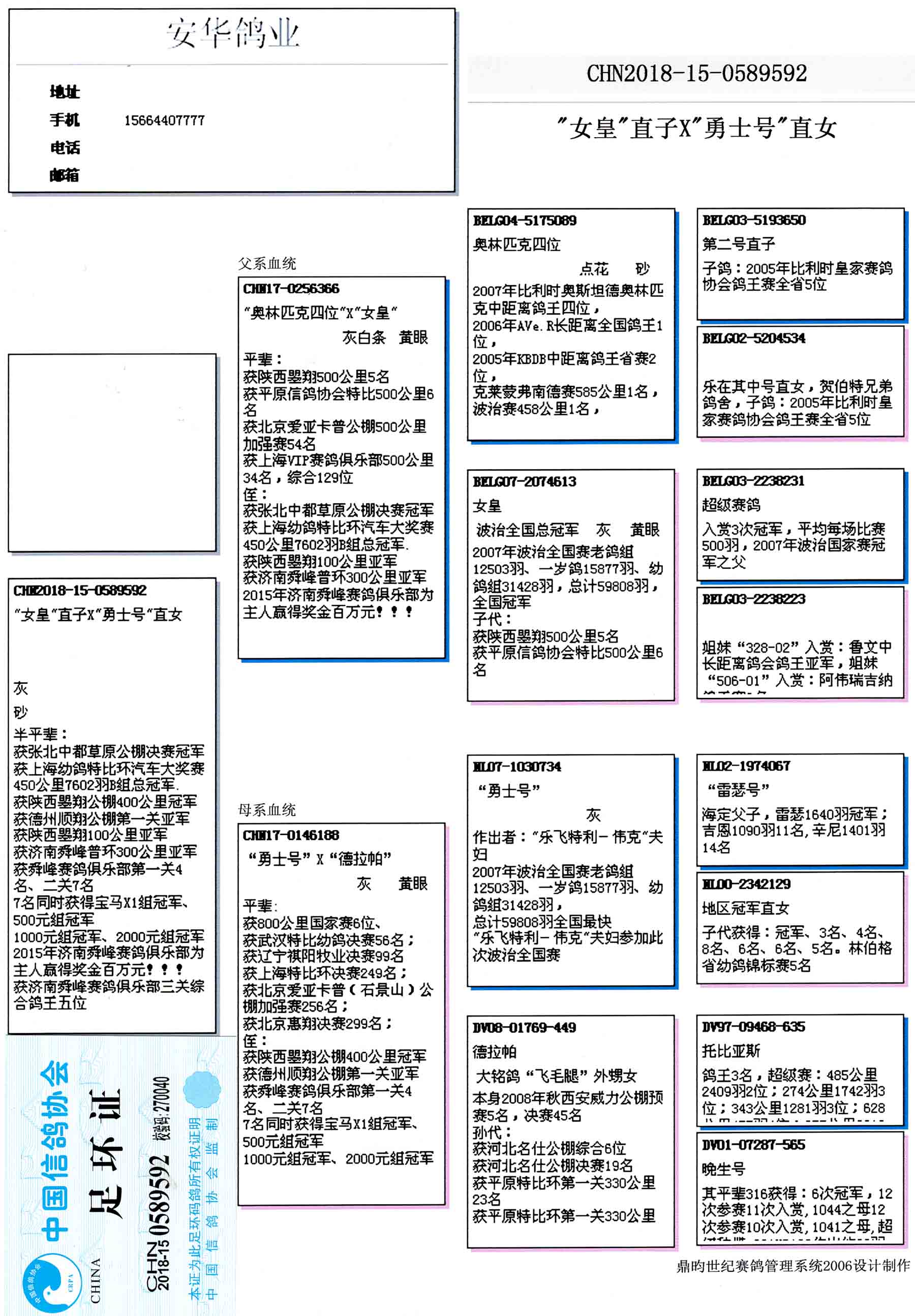 安华鸽业种鸽展厅图片