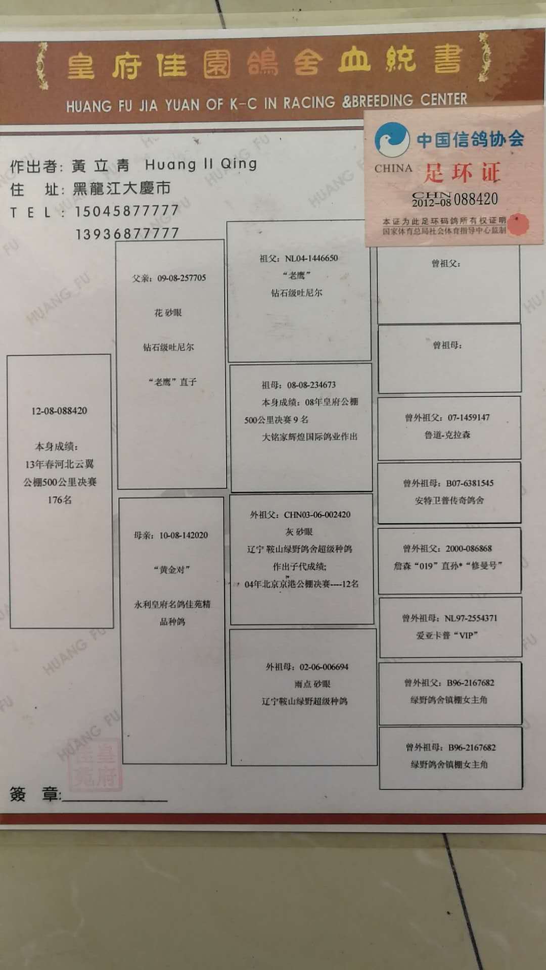 黑龙江永利皇府老鹰号图片