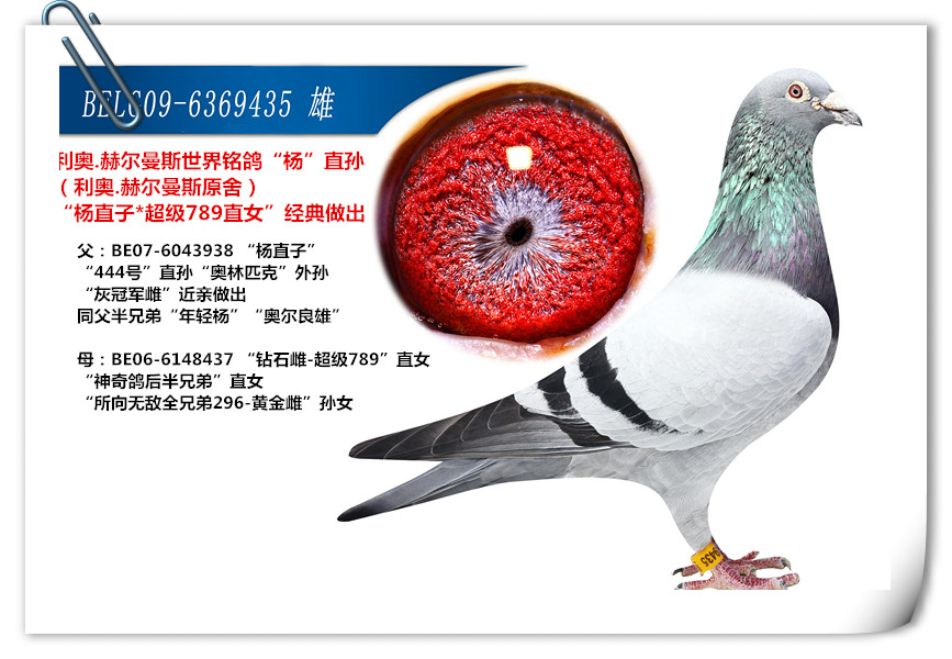 点击查看此商品大图片