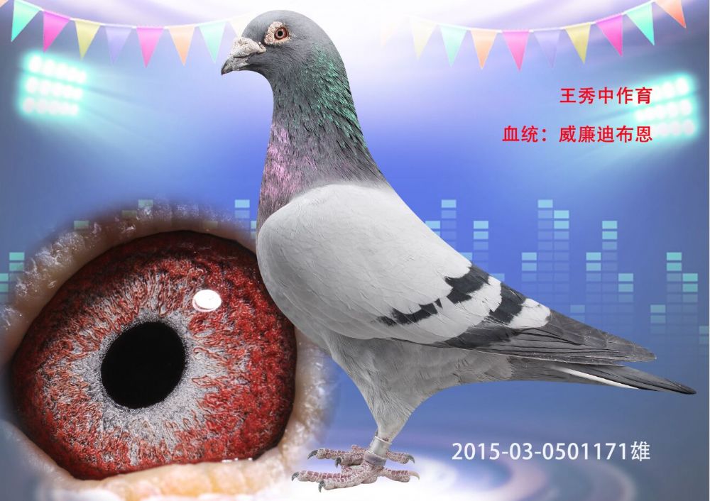 >> 查看拍卖商品