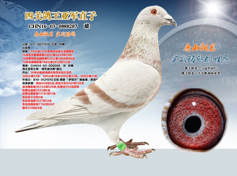 唐山阳光