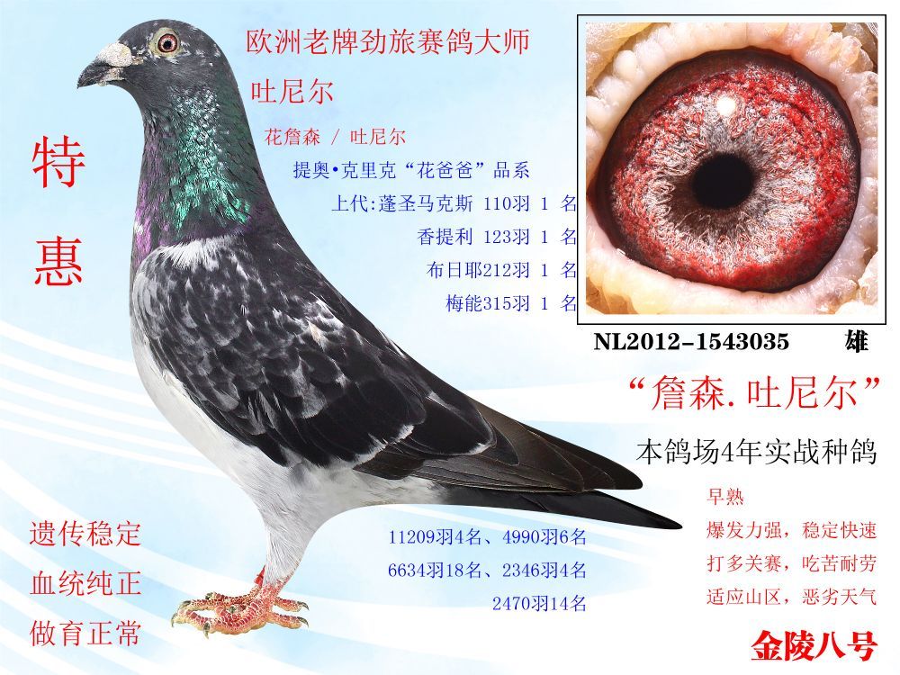 >> 查看拍卖商品