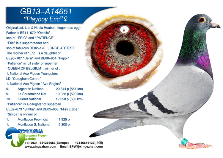 >> 查看拍卖商品