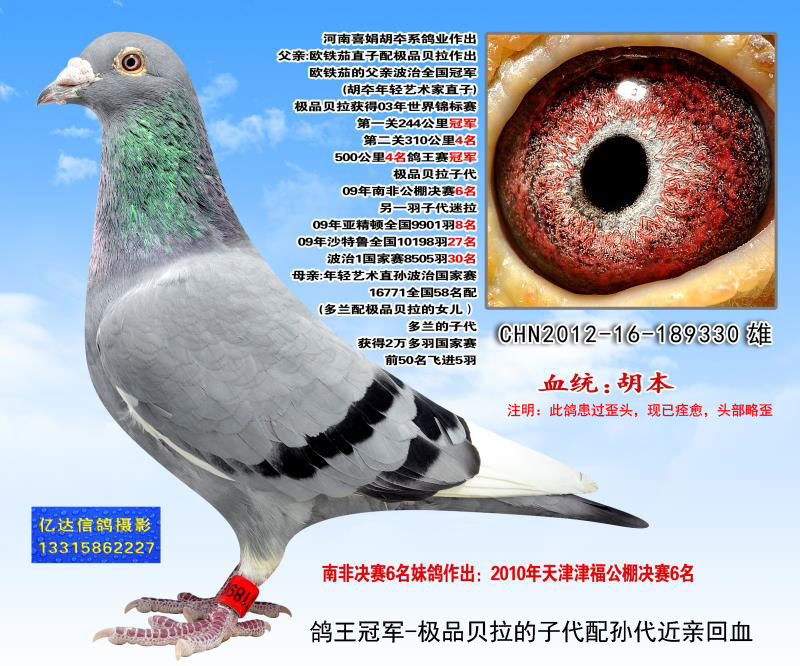 >> 查看拍卖商品