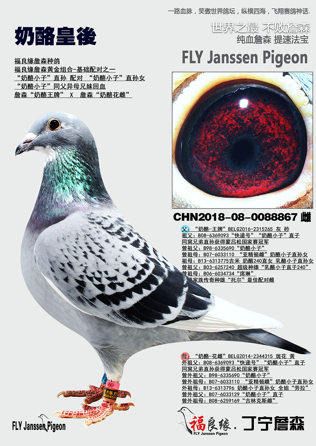 >> 查看拍卖商品