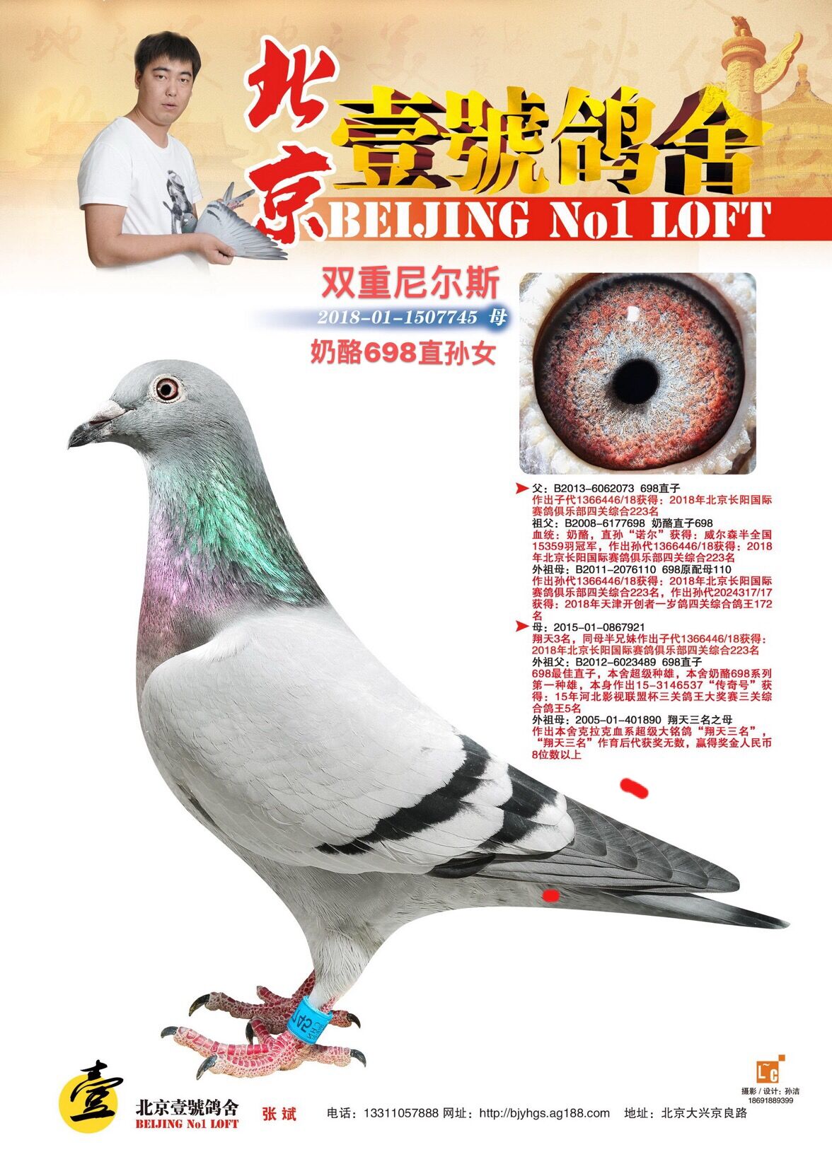 >> 查看拍卖商品