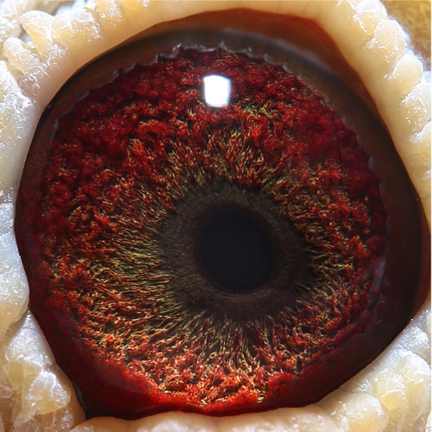 >> 查看拍卖商品