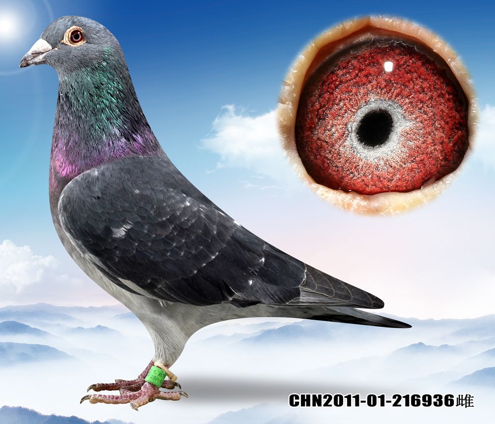 >> 查看拍卖商品