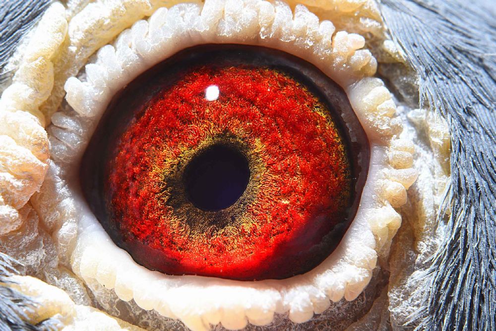 商品正在展示中