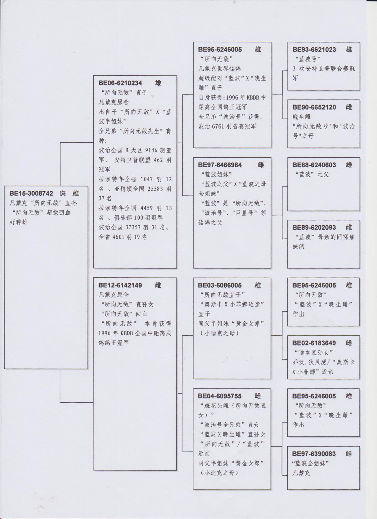 信鸽在线拍卖平台 - 中国信鸽信息网