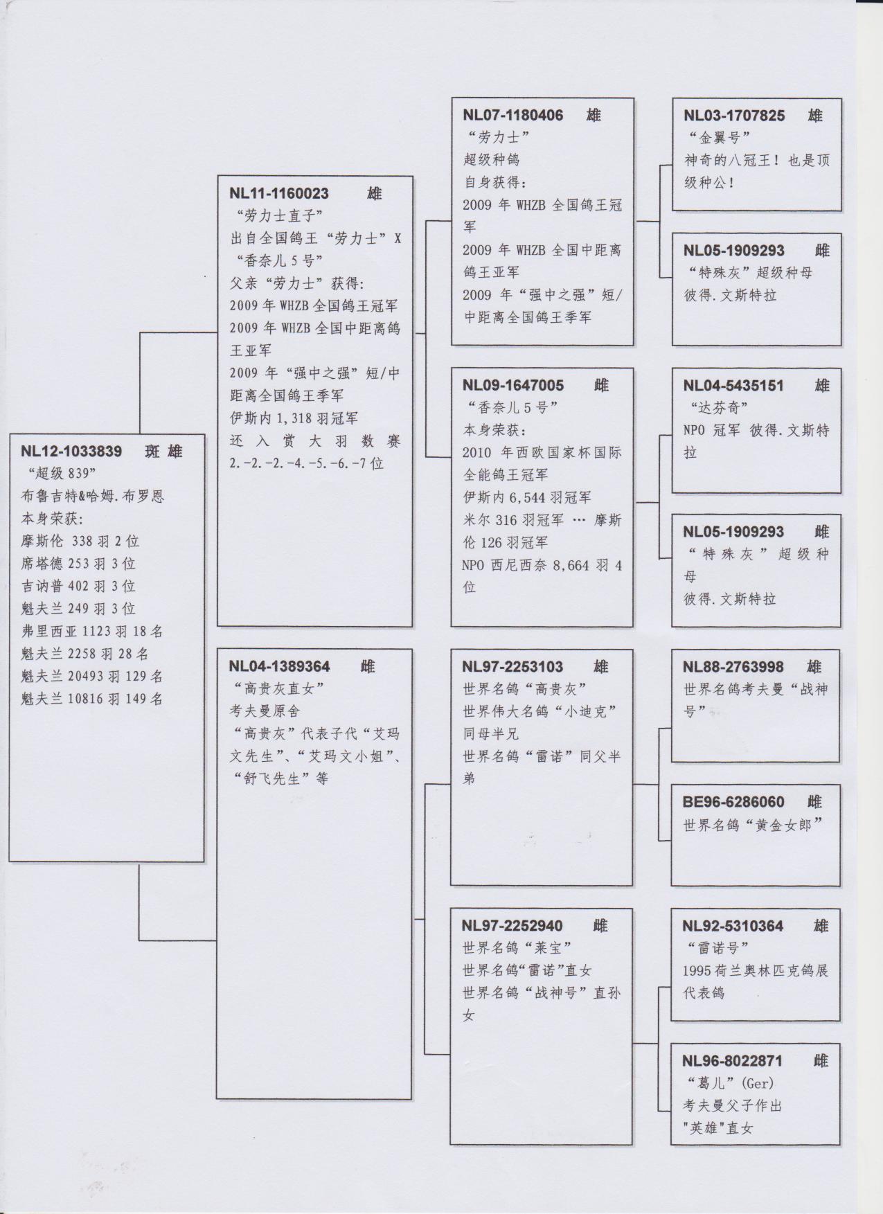 血統書翻譯