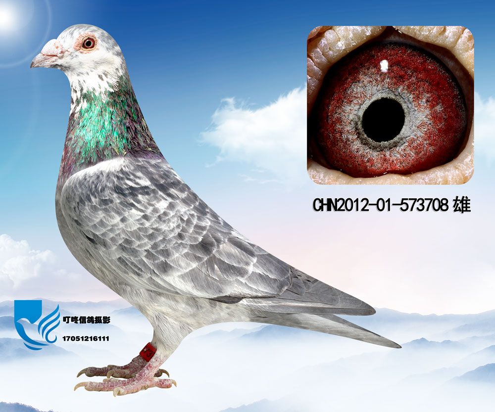>> 查看拍卖商品