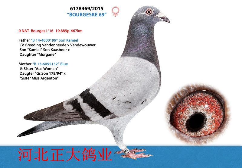 >> 查看拍卖商品