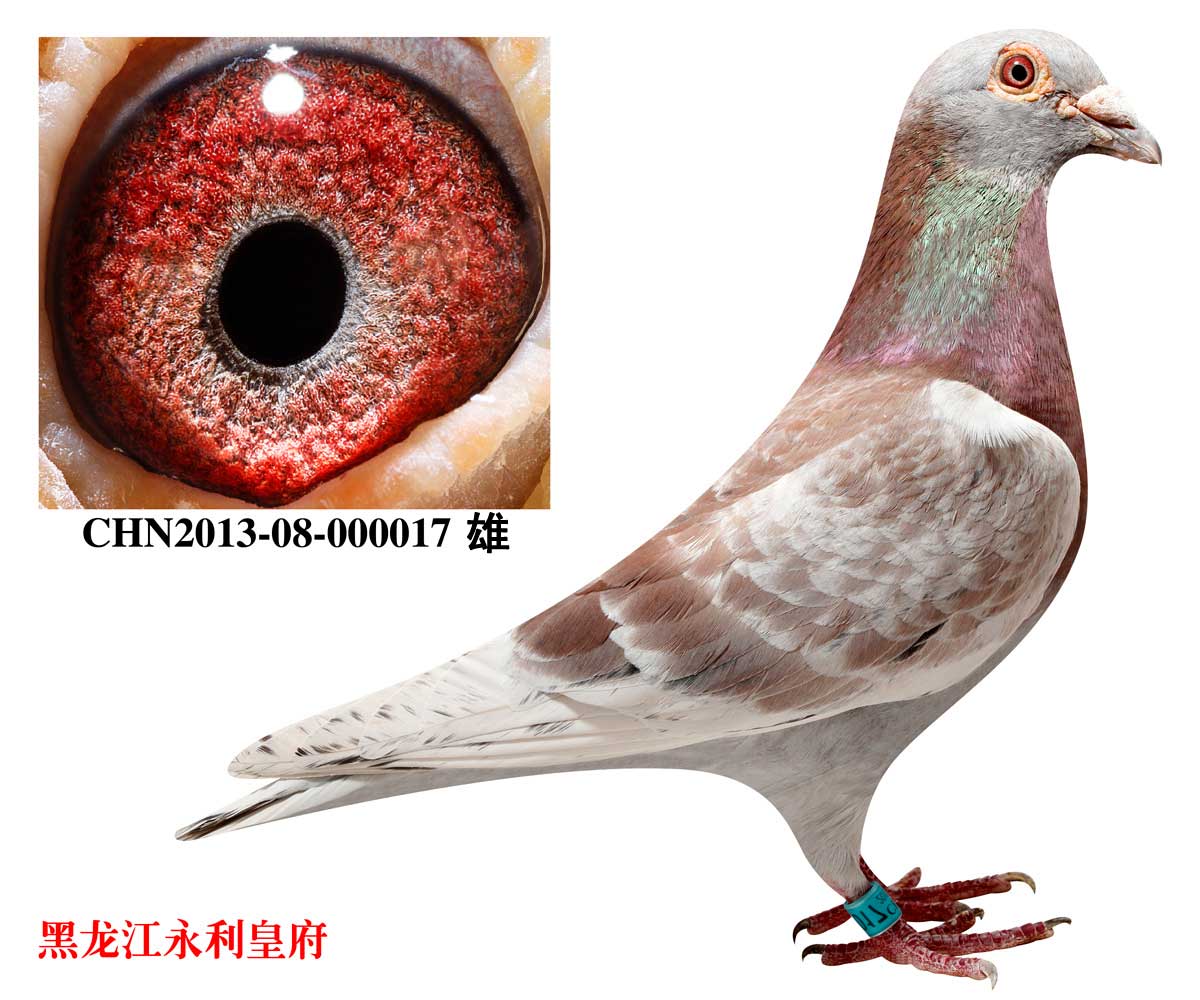 >> 查看拍卖商品