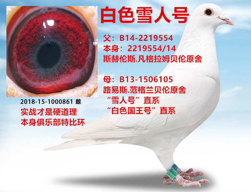 王鸿杨阿腾培育中心