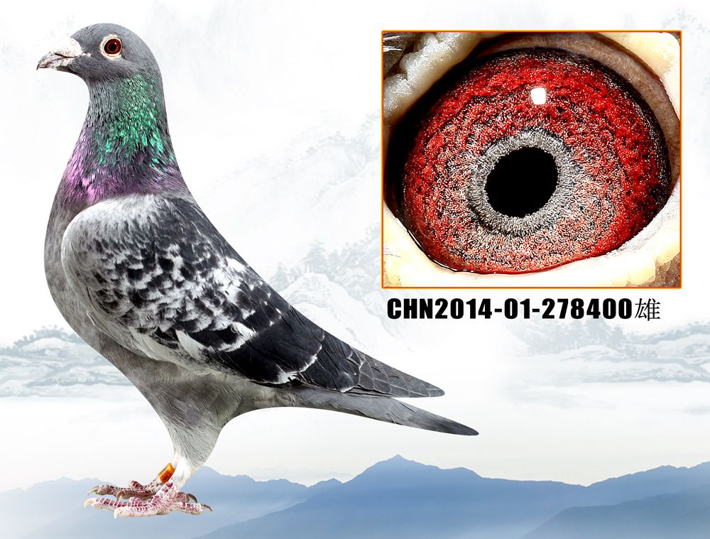 >> 查看拍卖商品