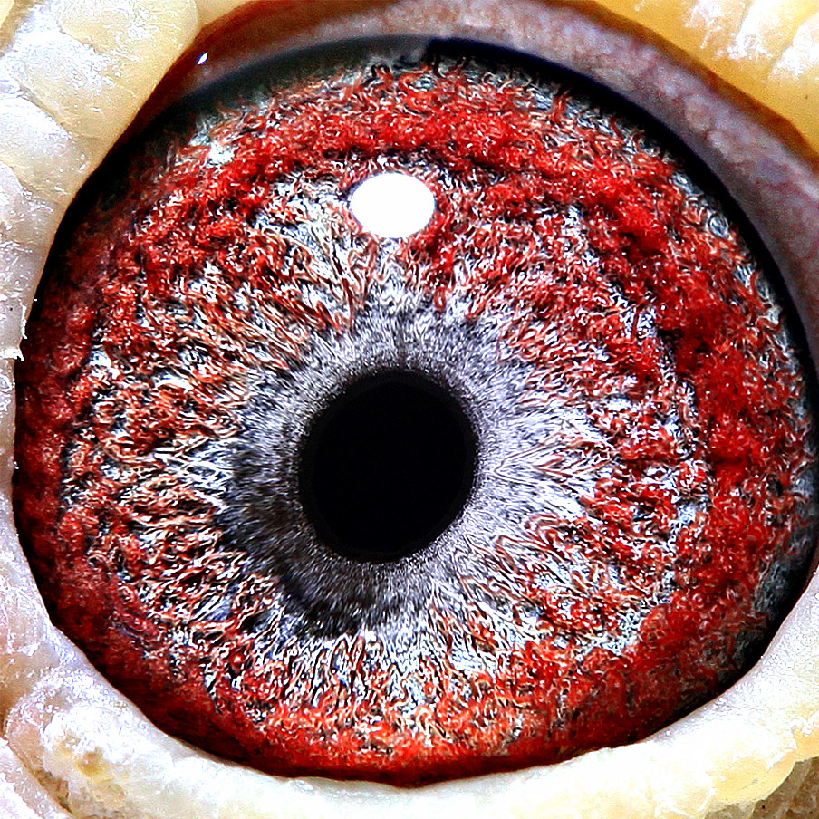 >> 查看拍卖商品