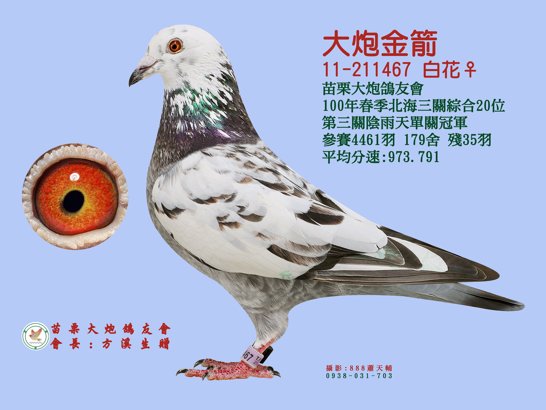 台湾飞事达竞翔集团 - 中信网铭鸽展厅 www.ag188.com