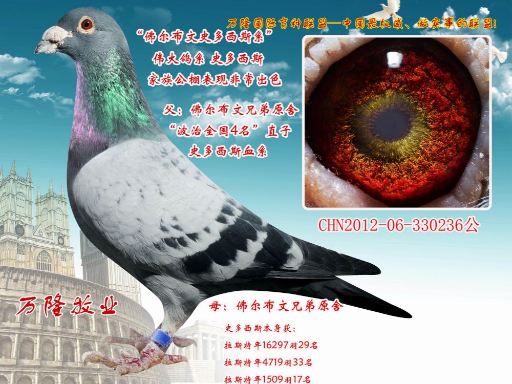 >> 查看拍卖商品